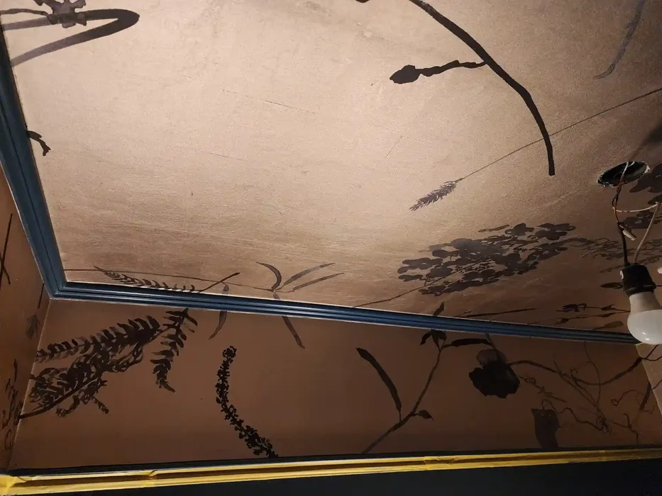 Wallpaper installation project in Newport